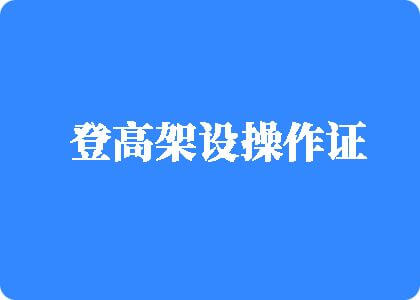 看老妇操B登高架设操作证